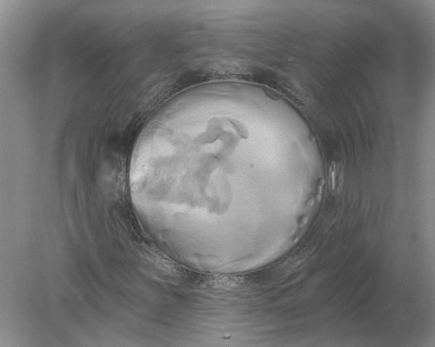 X0000078291251200611172113