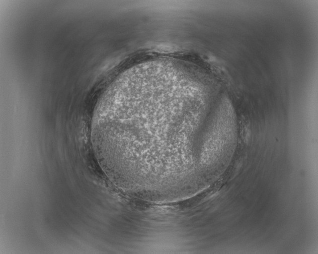 X0000078291253200611172113