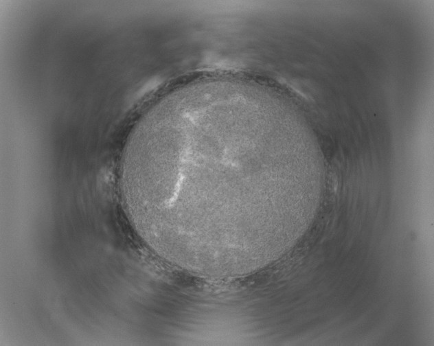 X0000078291254200611172113