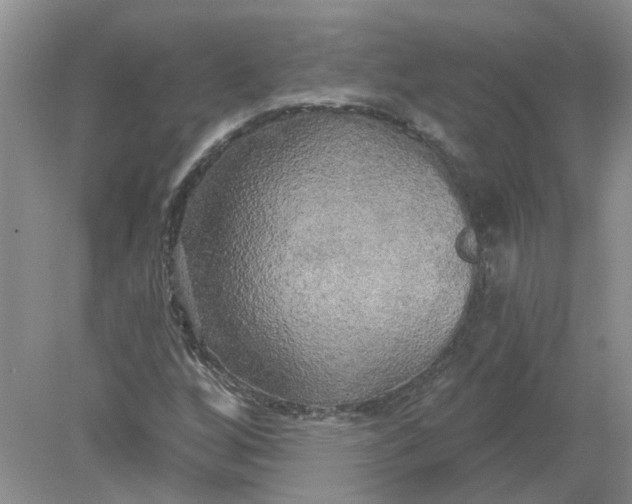 X0000078291256200611172113