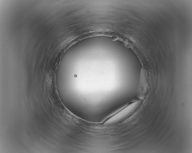 X0000078291257200611172113