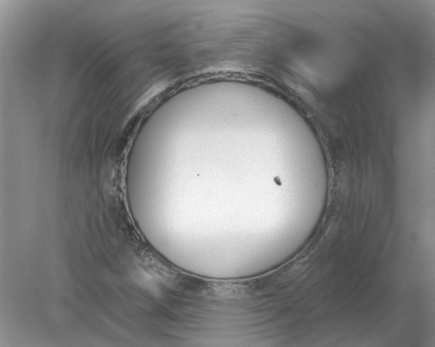 X0000078291258200611172113