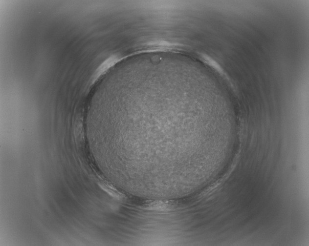 X0000078291259200611172113