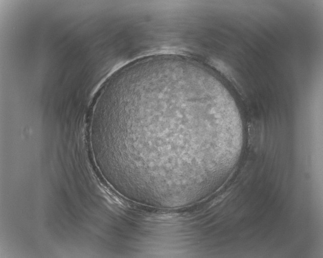 X0000078291260200611172113