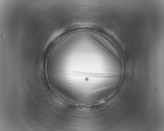 X0000078291261200611172113