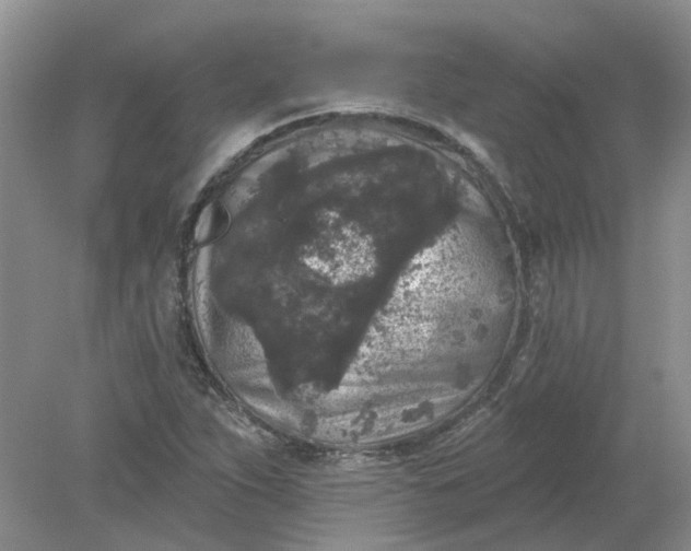 X0000078291263200611172113