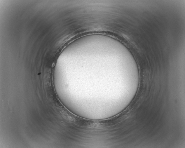 X0000078291265200611172113