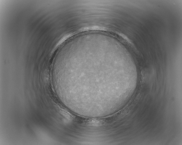 X0000078291266200611172113