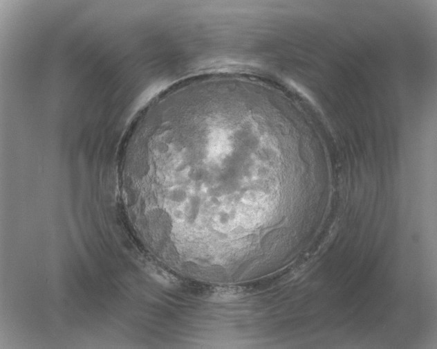 X0000078291267200611172113