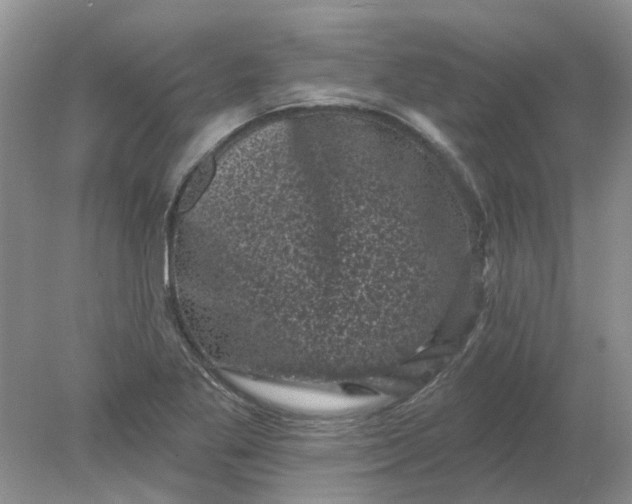 X0000078291269200611172113