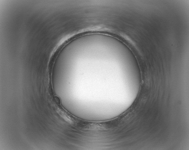 X0000078291270200611172113