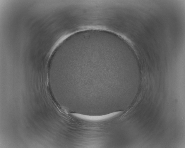 X0000078291271200611172113