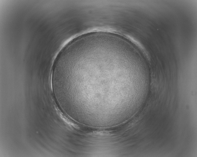 X0000078291272200611172113