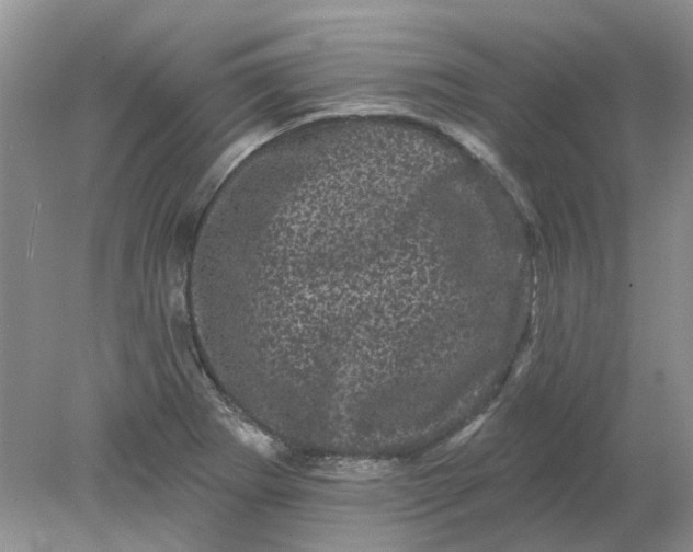 X0000078291273200611172113