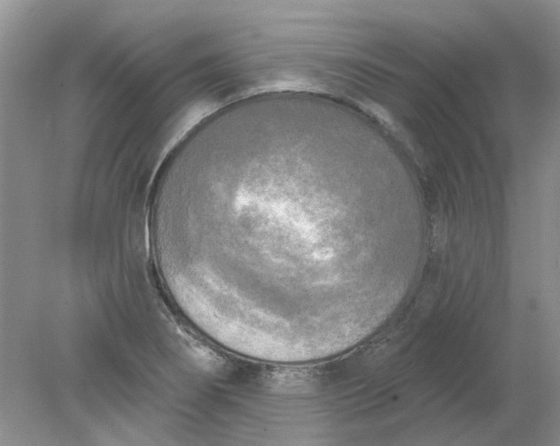 X0000078291274200611172113