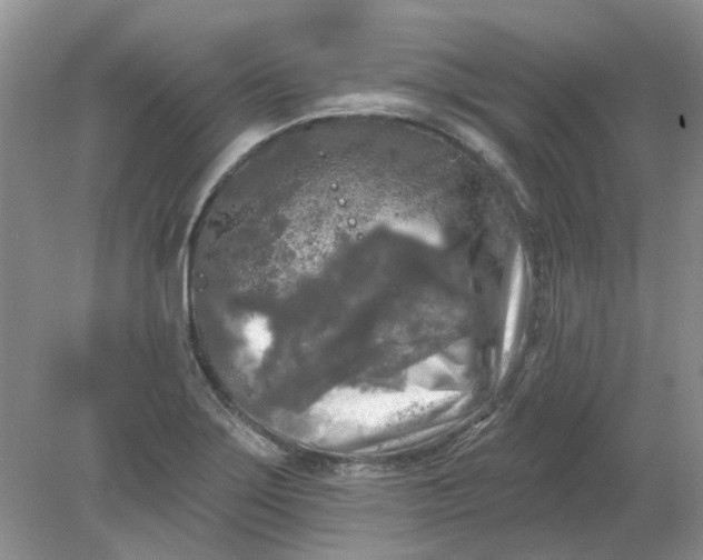 X0000078291275200611172113