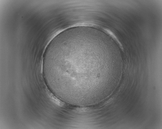 X0000078291276200611172113