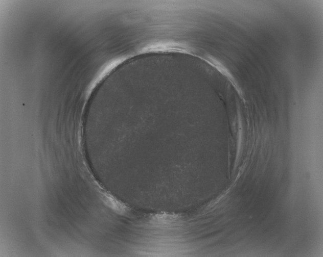 X0000078291277200611172113