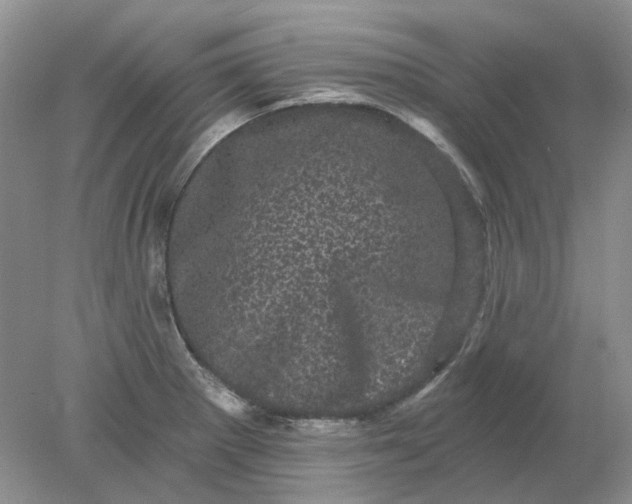 X0000078291281200611172113