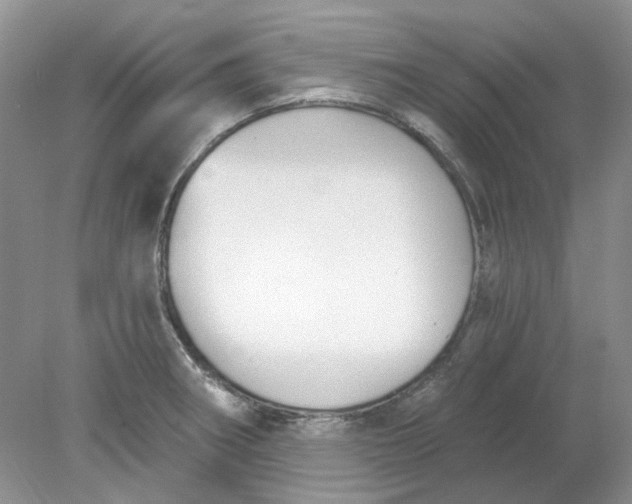 X0000078291282200611172113