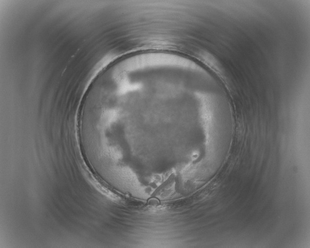 X0000078291283200611172113