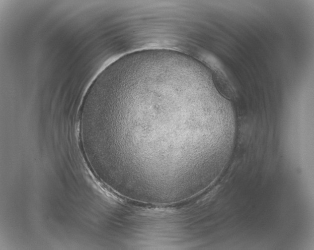 X0000078291284200611172113