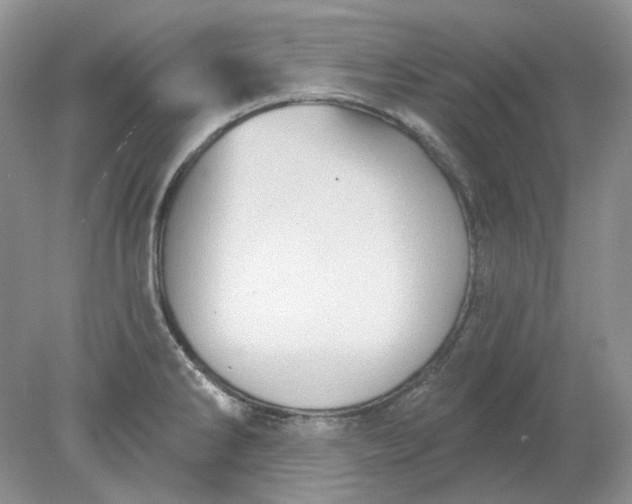 X0000078291286200611172113