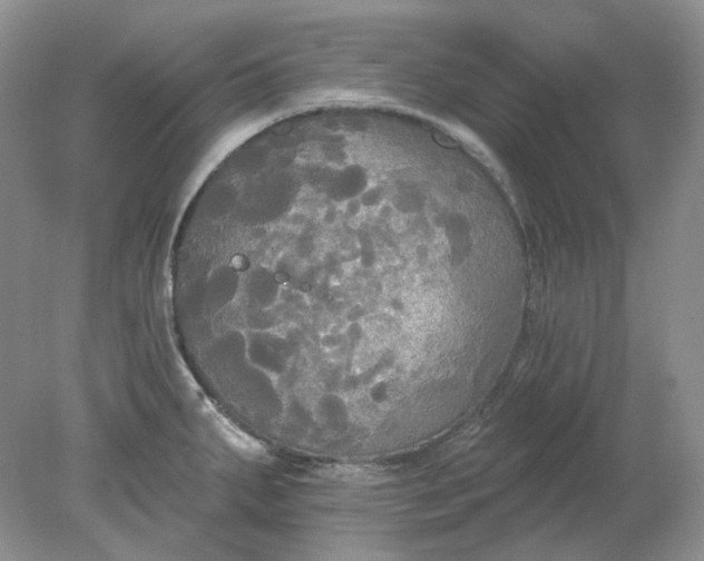 X0000078291287200611172113