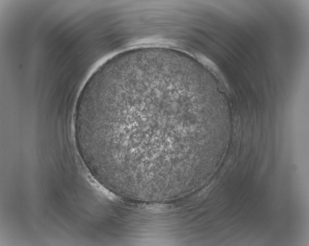 X0000078291288200611172113