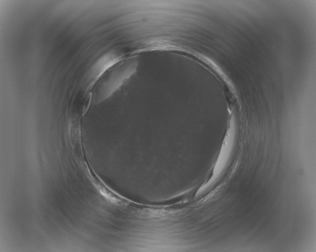 X0000078291289200611172113