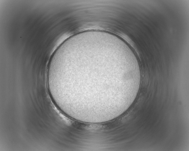 X0000078291290200611172113