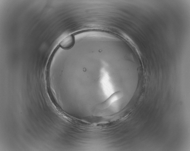 X0000078291291200611172112