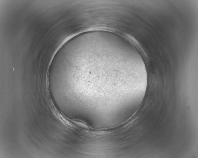 X0000078291292200611172112