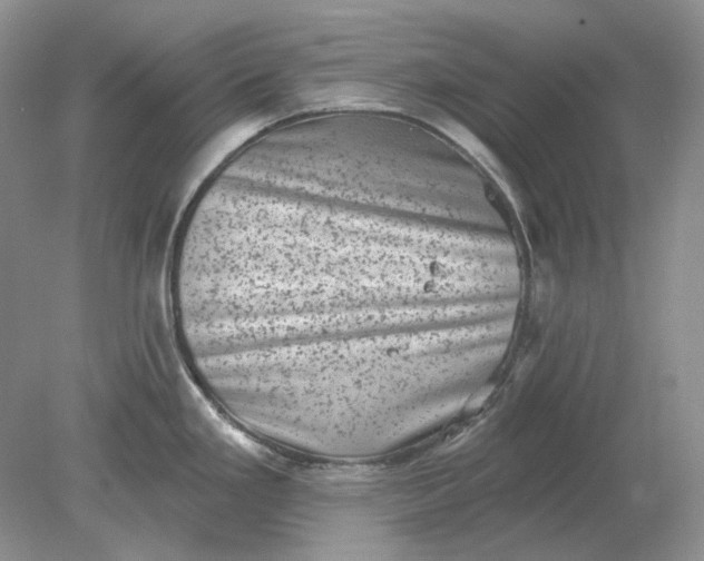 X0000078291293200611172112