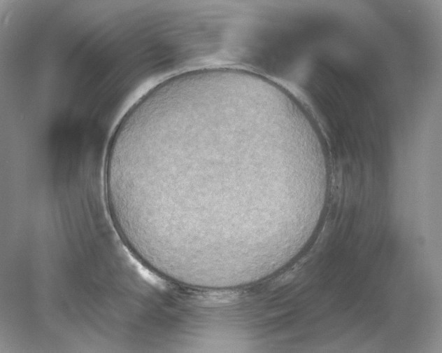 X0000078291294200611172112