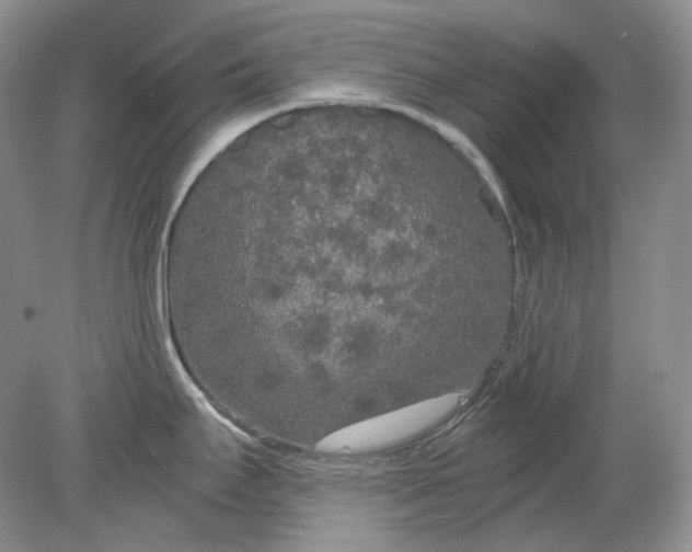 X0000078291295200611172112