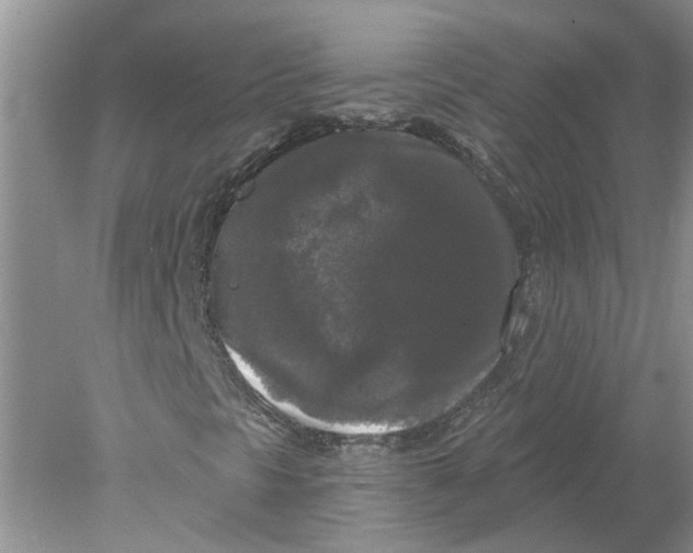 X0000078291297200611172112