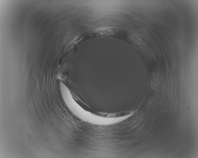 X0000078291298200611172112