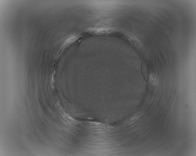 X0000078291300200611172112