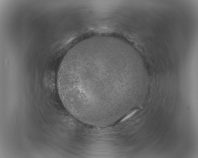 X0000078291301200611172112