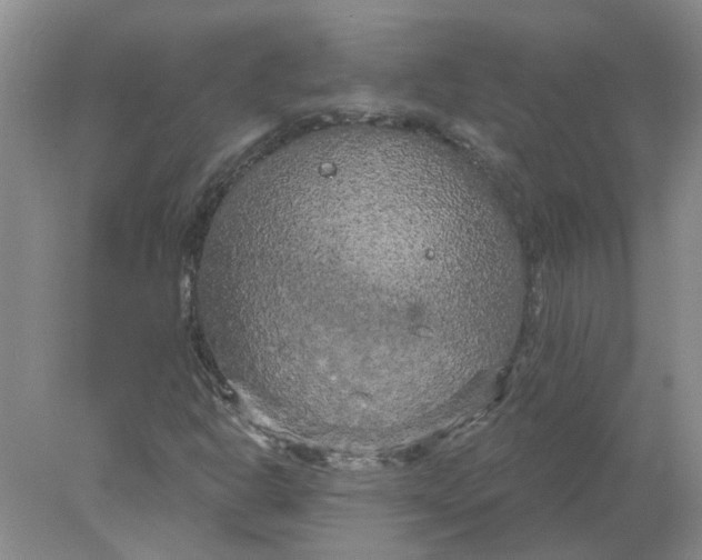 X0000078291302200611172112