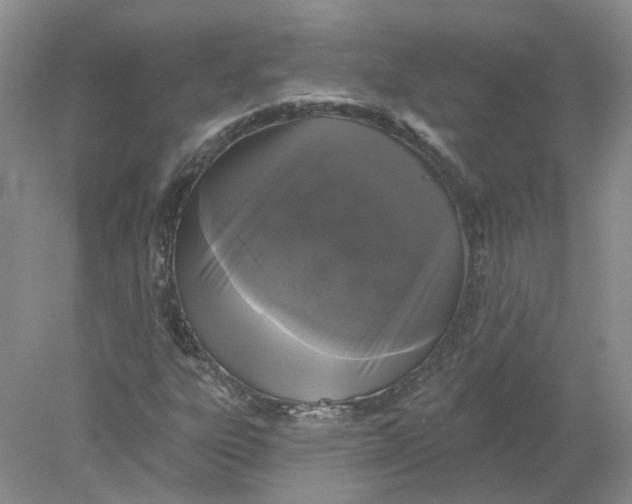 X0000078291303200611172112