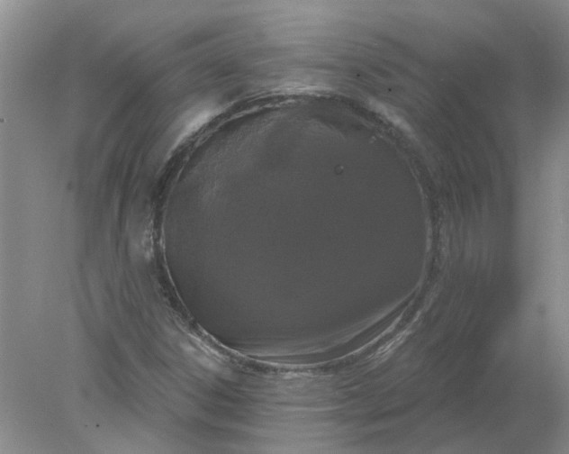 X0000078291306200611172112