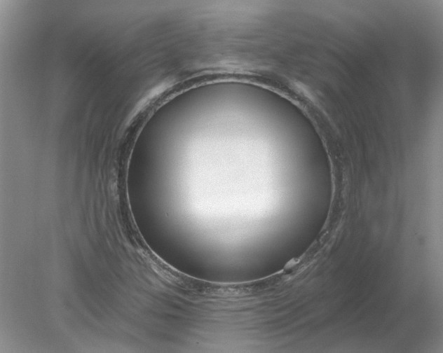 X0000078291307200611172112