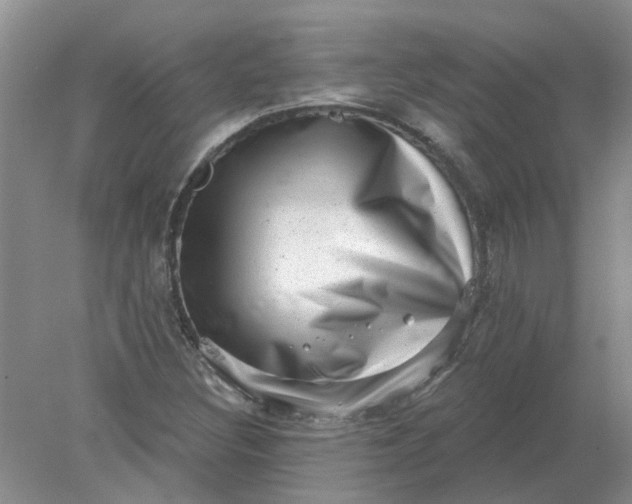 X0000078291308200611172112