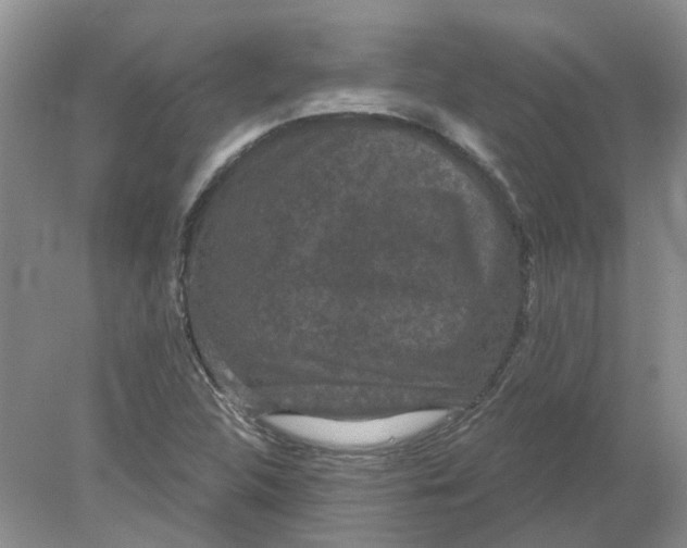 X0000078291312200611172112