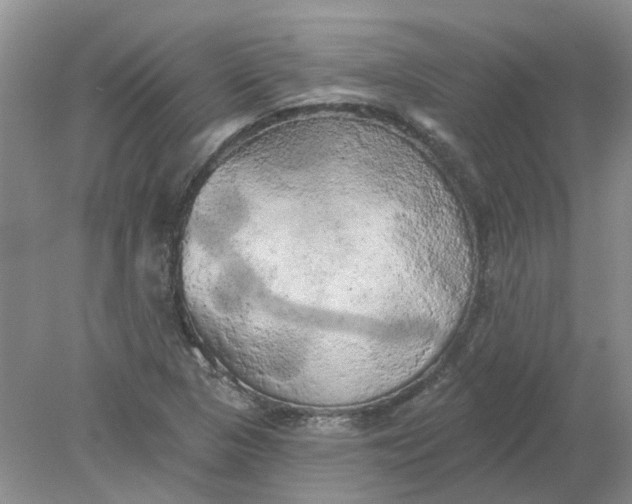 X0000078291313200611172112