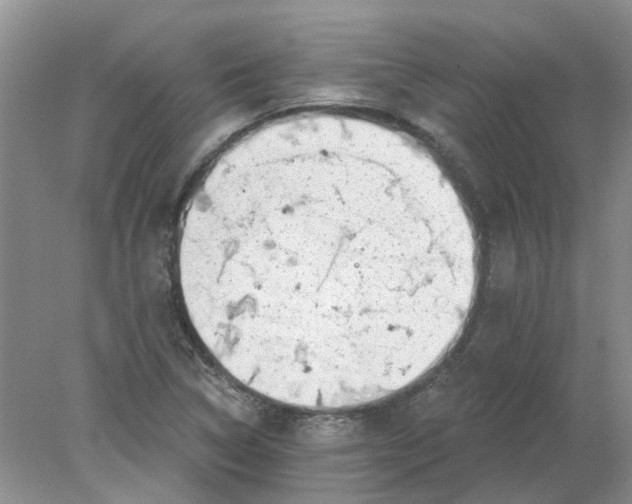 X0000078291314200611172112