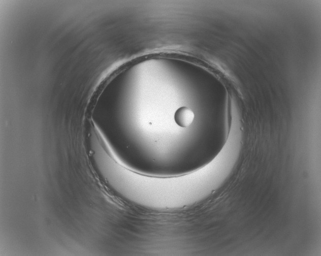 X0000078291316200611172112