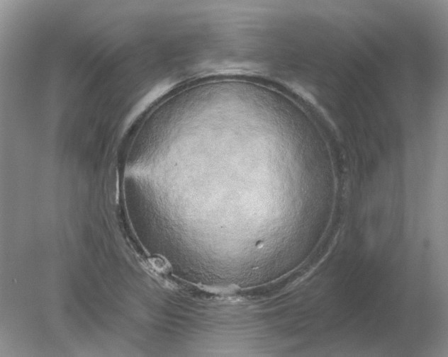 X0000078291317200611172112